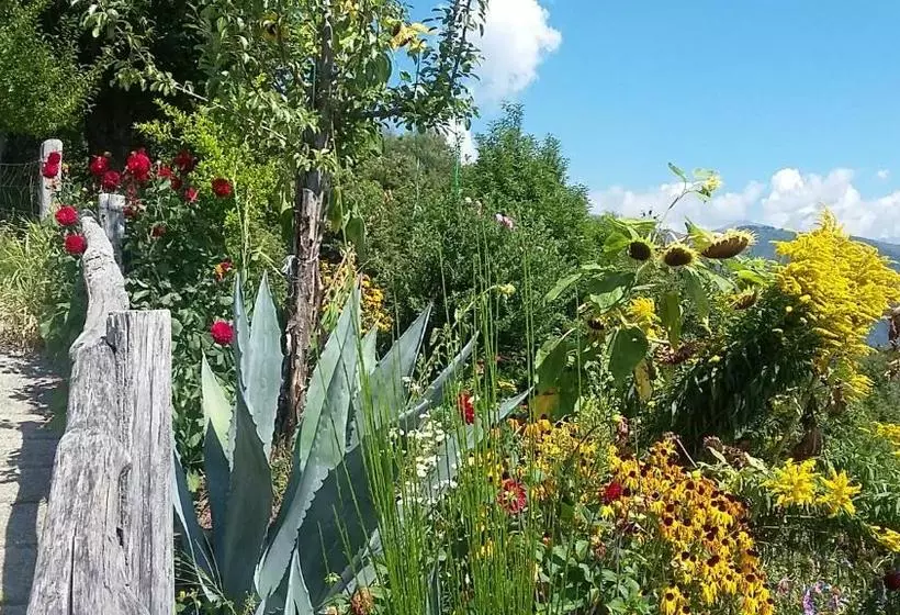 ホテル Agriturismo Zertin