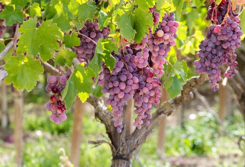 فندق Tenute Piazza Countryhouse