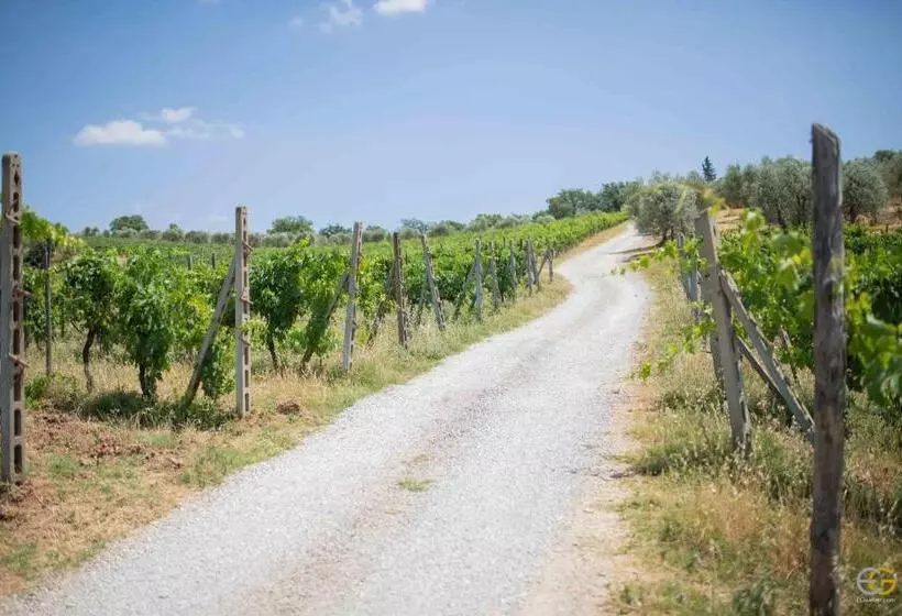 هتل Terre Di Melazzano   Le Case Di Patrizia