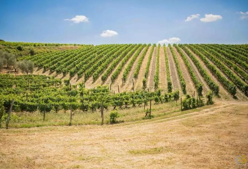 هتل Terre Di Melazzano   Le Case Di Patrizia