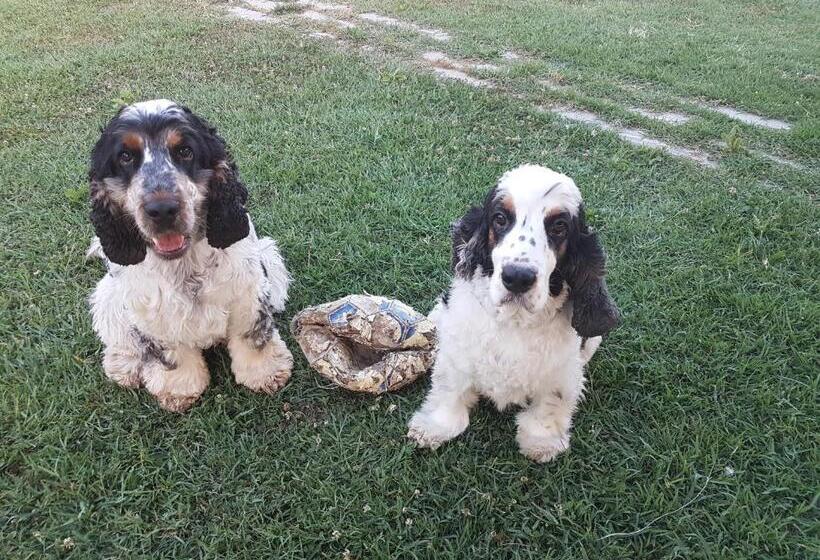 פנסיון Cà Thomas