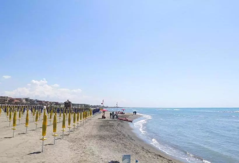 ペンション Guest House Maison 6