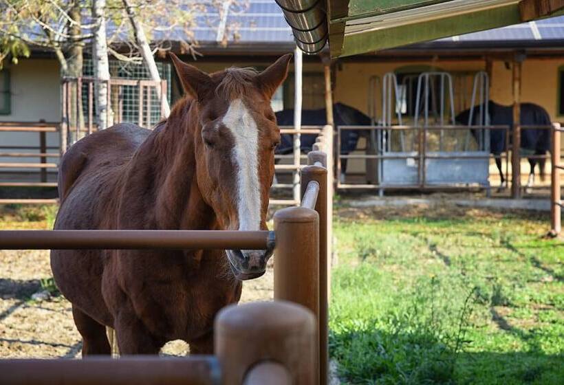 هتل Agriturismo Corte Benetti