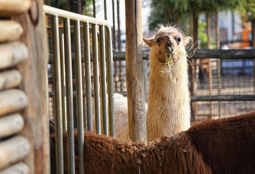 هتل Agriturismo Corte Benetti