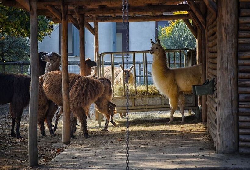 هتل Agriturismo Corte Benetti