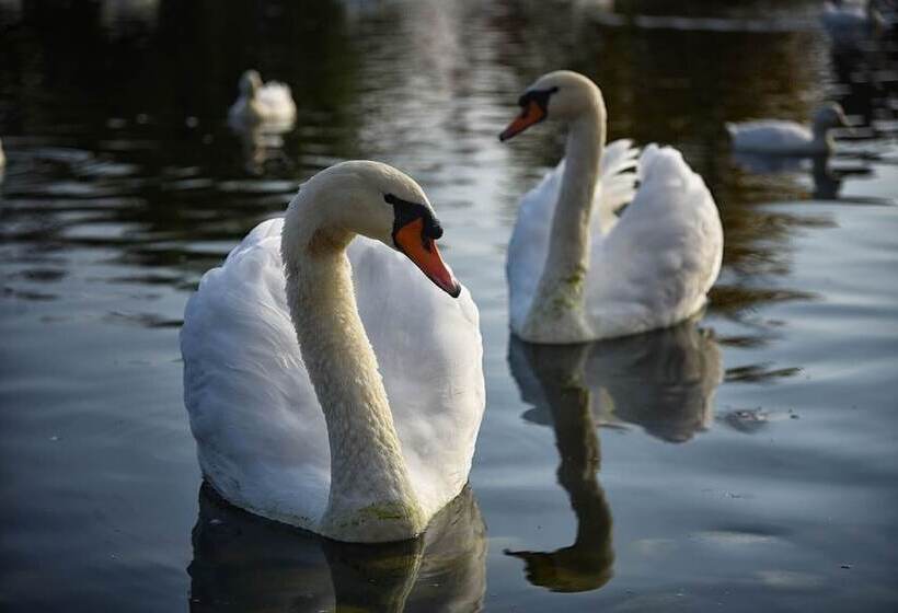 هتل Agriturismo Corte Benetti