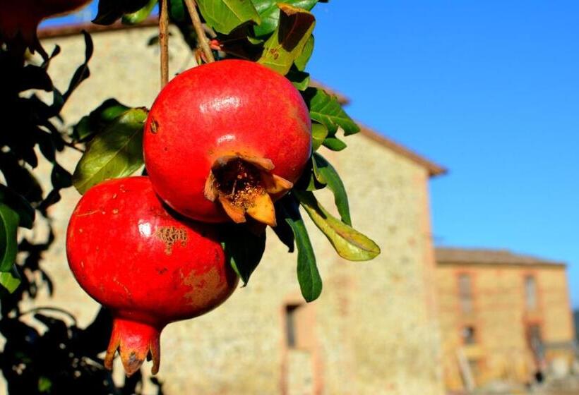 ホテル Agriturismo Melariano