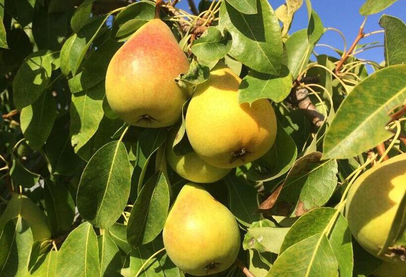 فندق Agriturismo Turudhis