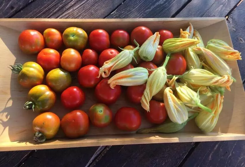 ホテル Agriturismo Turudhis