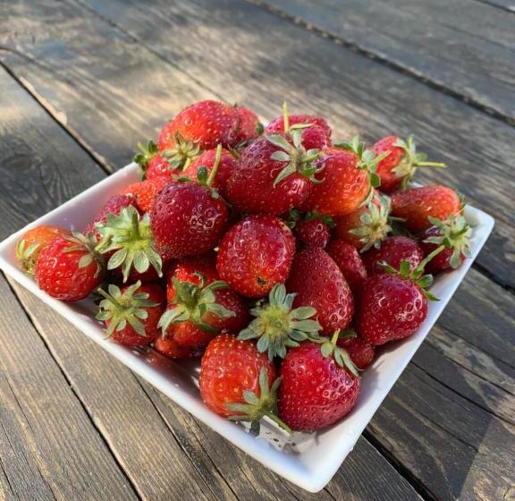 فندق Agriturismo Turudhis