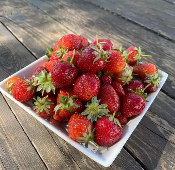 ホテル Agriturismo Turudhis