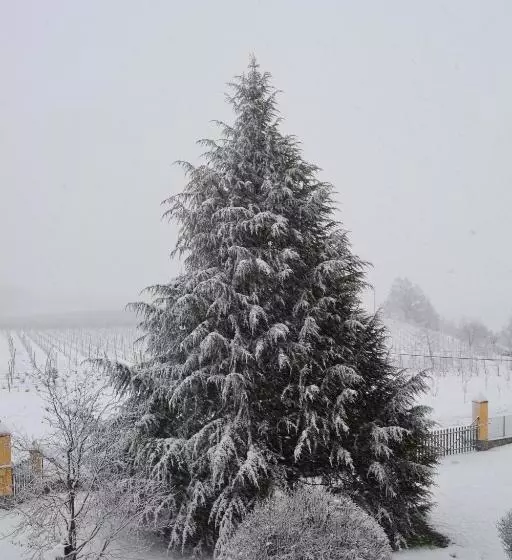 ホテル Tenuta Montebello