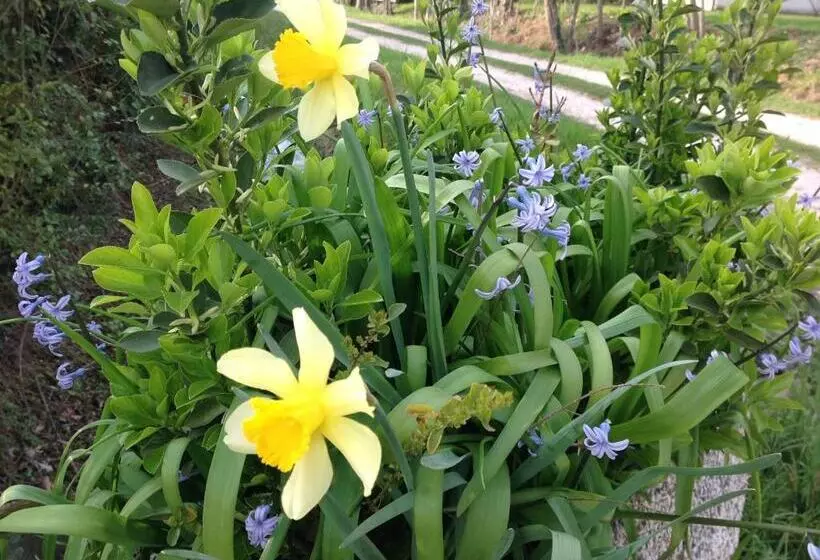 ペンション Agriturismo Loghino Caselle