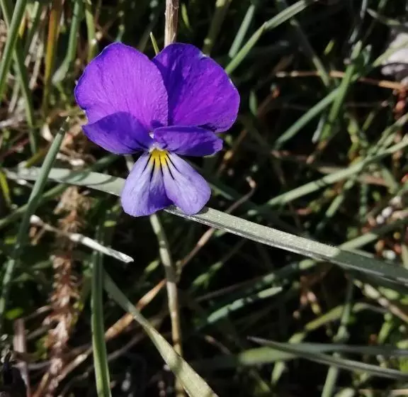 Majatalo Guest House Caracas