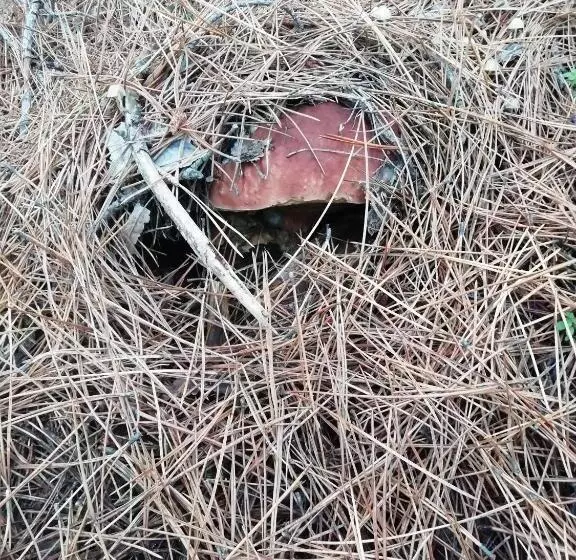 Majatalo Guest House Caracas