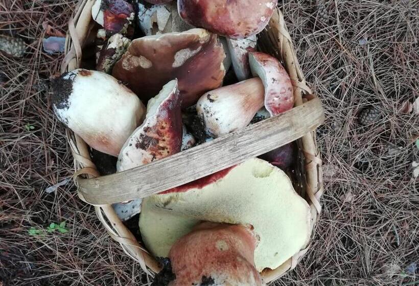 膳宿费 Guest House Caracas