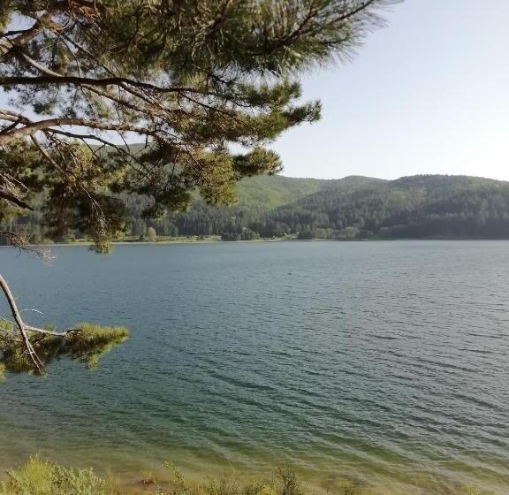 膳宿费 Guest House Caracas