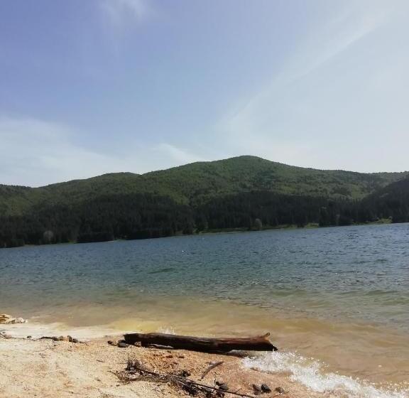 膳宿费 Guest House Caracas