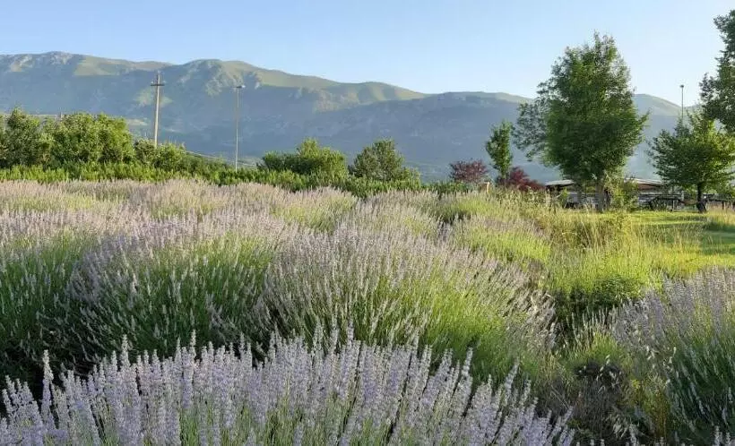 ペンション La Radice