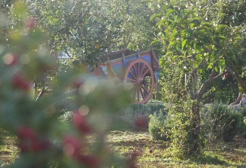 ペンション La Radice