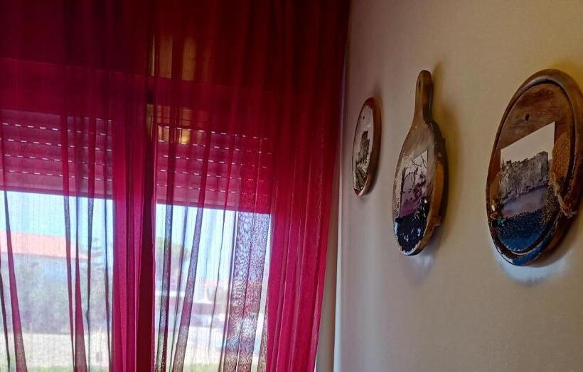 פנסיון Mscamere