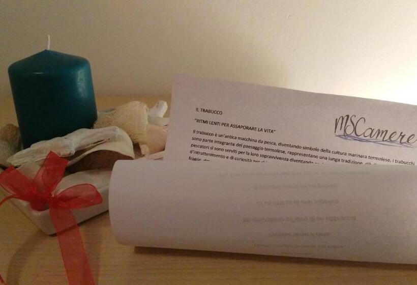 פנסיון Mscamere