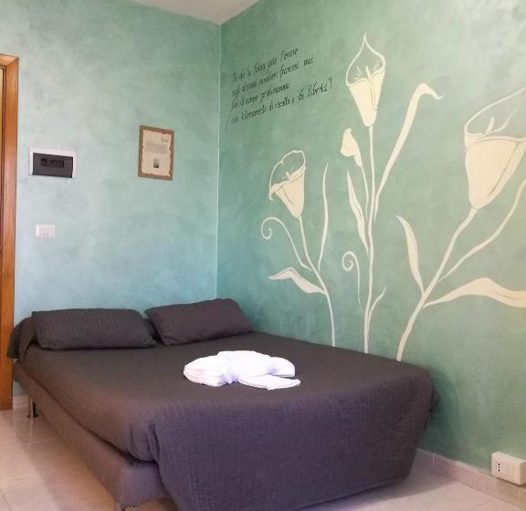 פנסיון Mscamere