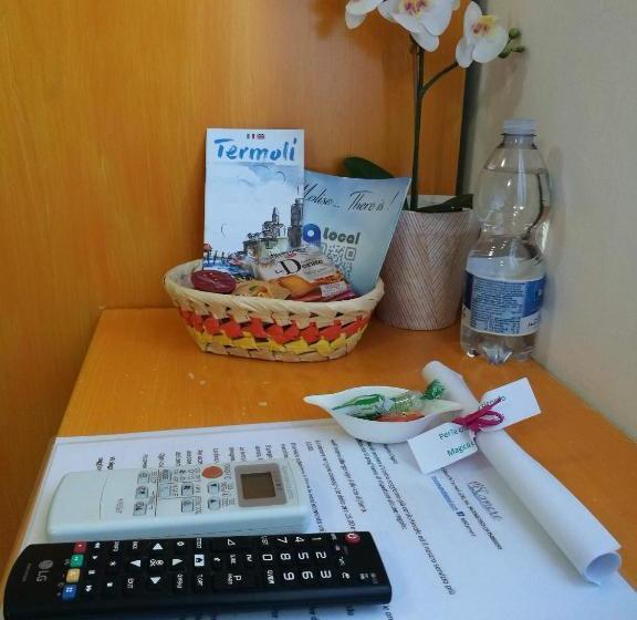 פנסיון Mscamere