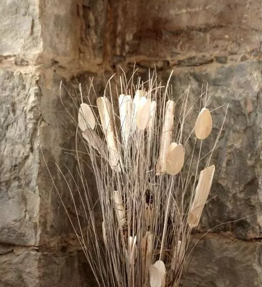 Residence Theresia Tailor Made Stay