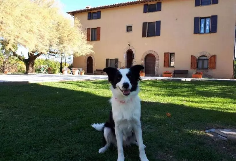 Agriturismo Villa Mozart Nel Verde