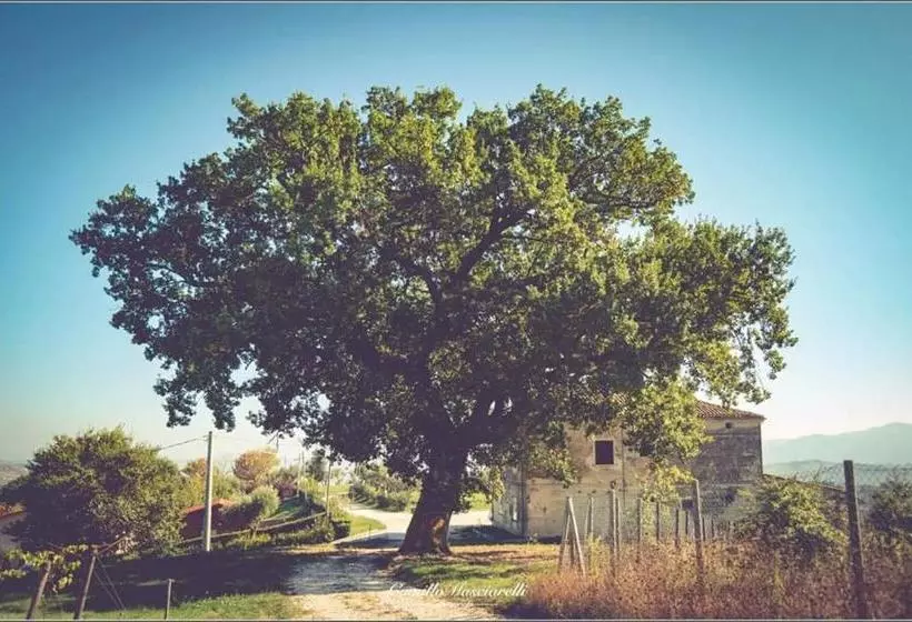 ホテル Agriturismo Colle Tripio