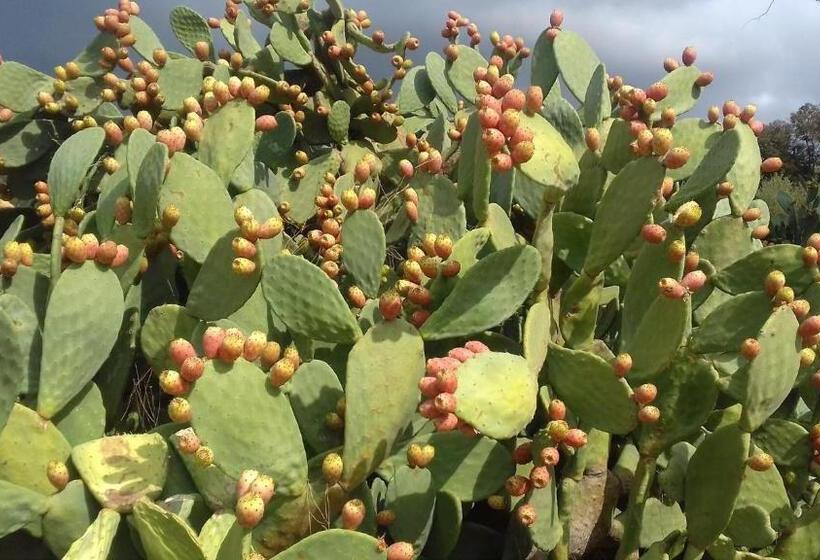 هتل Agriturismo Val Di Nappo