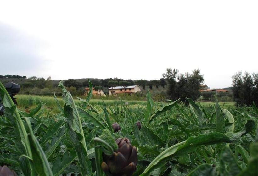 هتل Agriturismo Val Di Nappo