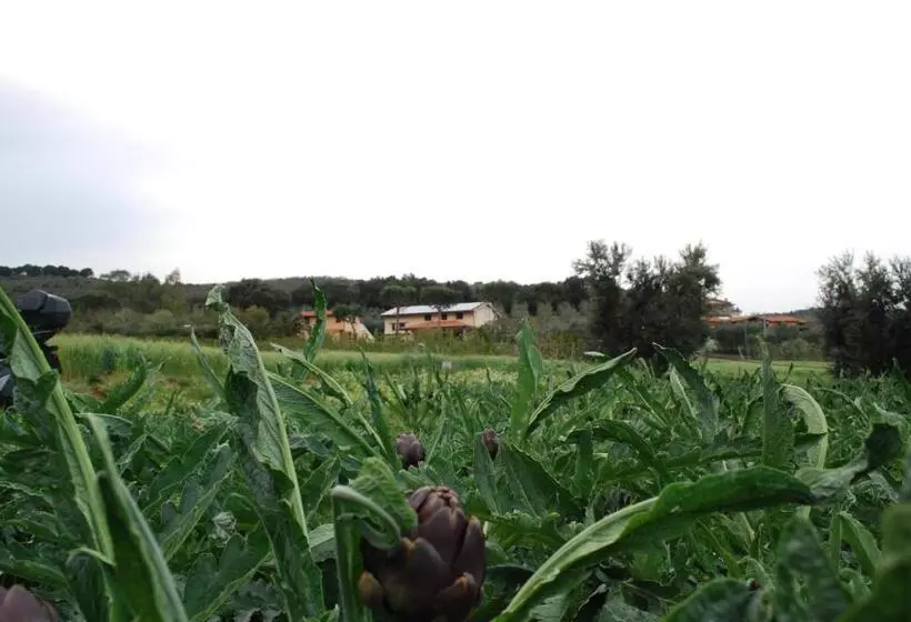 Hotelli Agriturismo Val Di Nappo