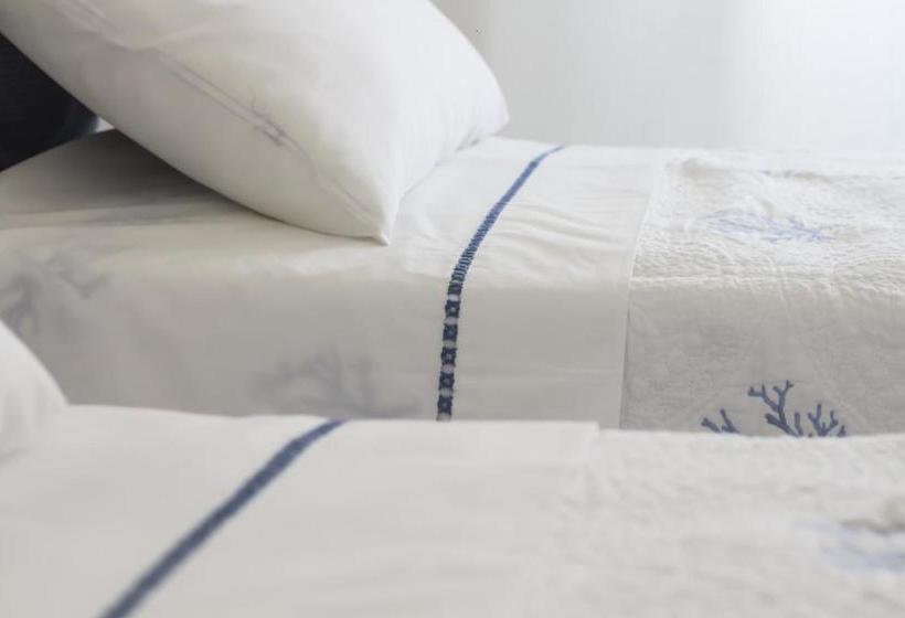 פנסיון Fourooms Le Camere Del Centro