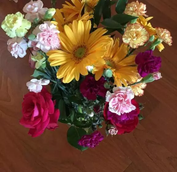 پانسیون Guesthouse Flora