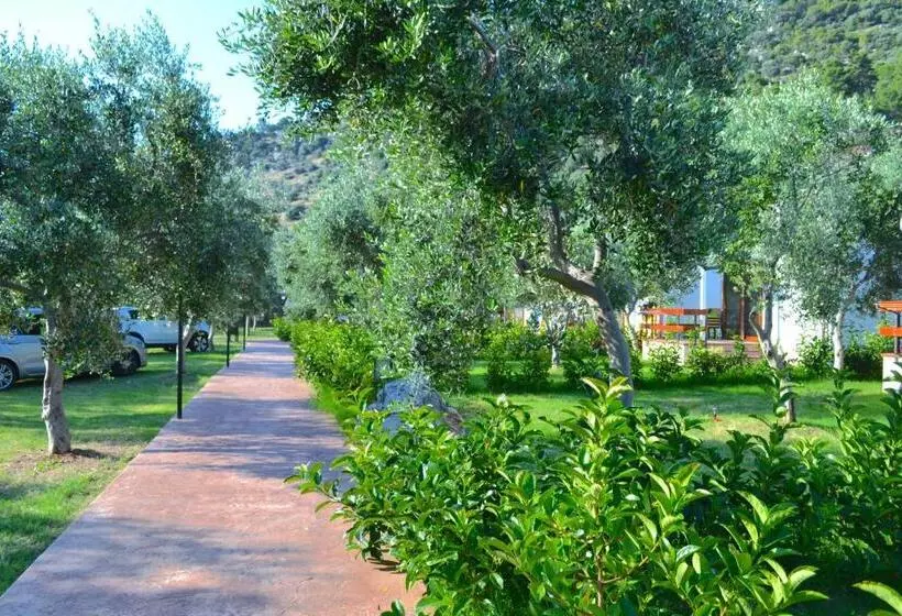 هتل Agriturismo Antichi Ulivi