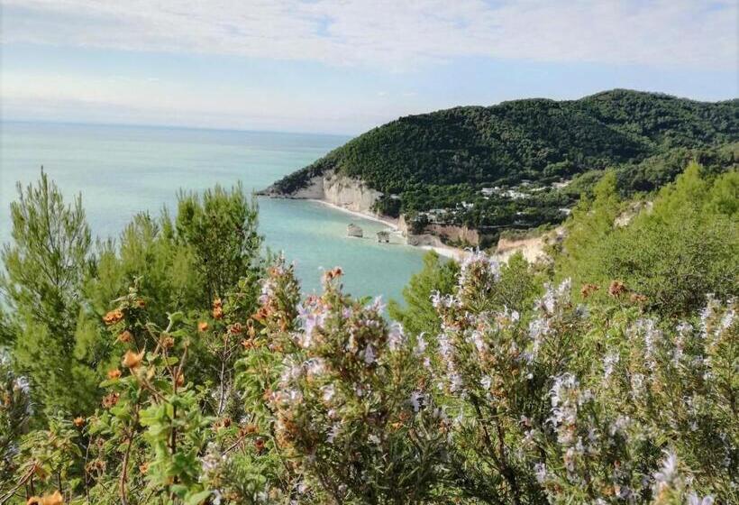 هتل Agriturismo Antichi Ulivi