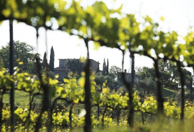 فندق Agriturismo Belvedere Di Pierini E Brugi