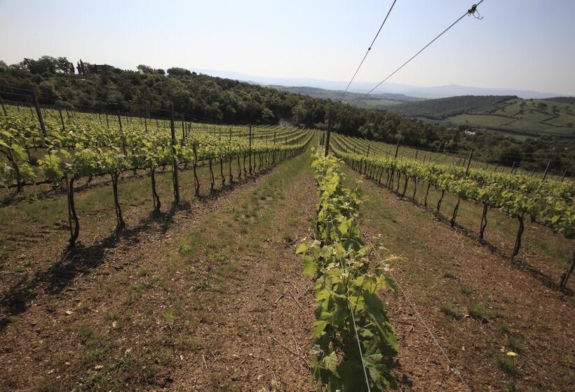فندق Agriturismo Belvedere Di Pierini E Brugi