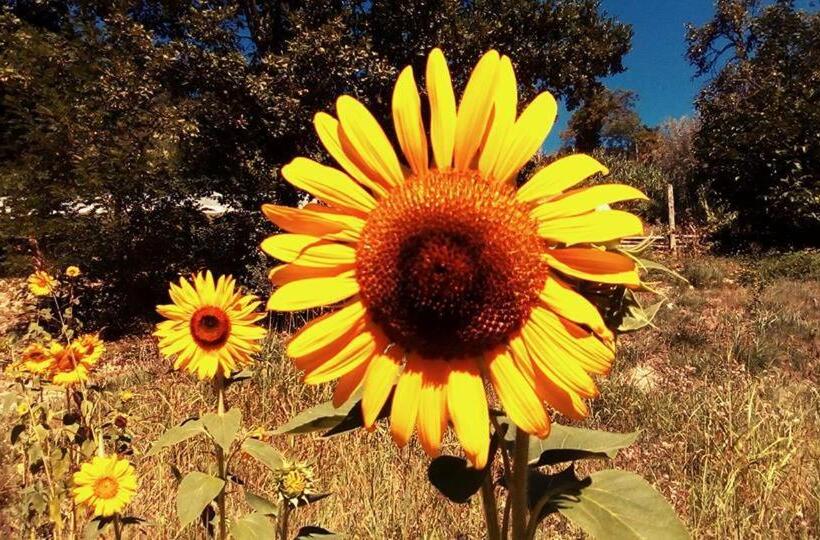 Отель Cascina Il Convivio