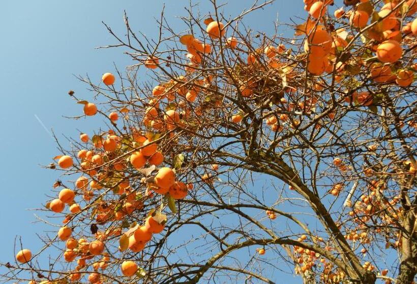 Отель Cascina Il Convivio