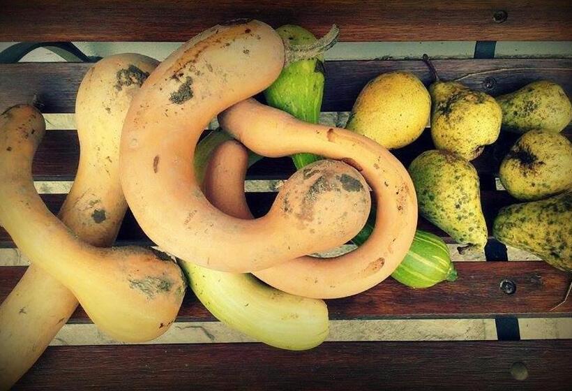 Отель Cascina Il Convivio