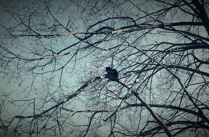 Отель Cascina Il Convivio