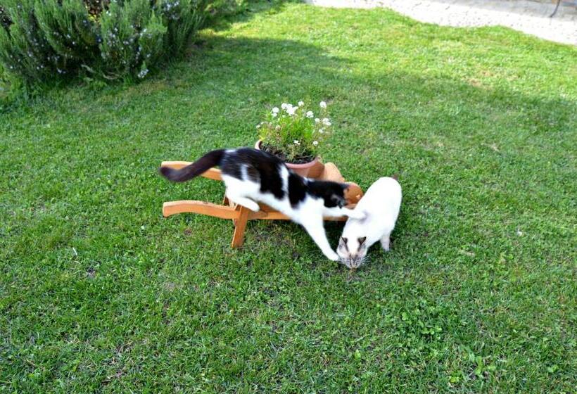 Отель Cascina Il Convivio