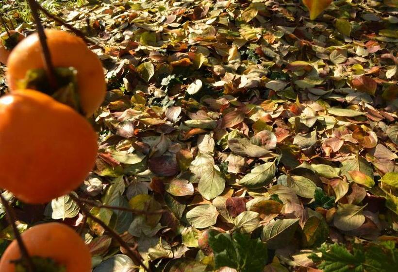 Отель Cascina Il Convivio