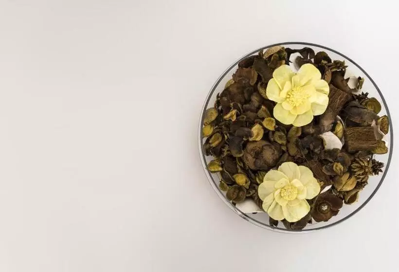 Majatalo Al Castello Di Leonardo