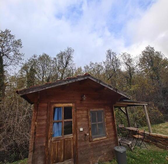 ホテル Agriturismo Fattoria Ca Di Sole