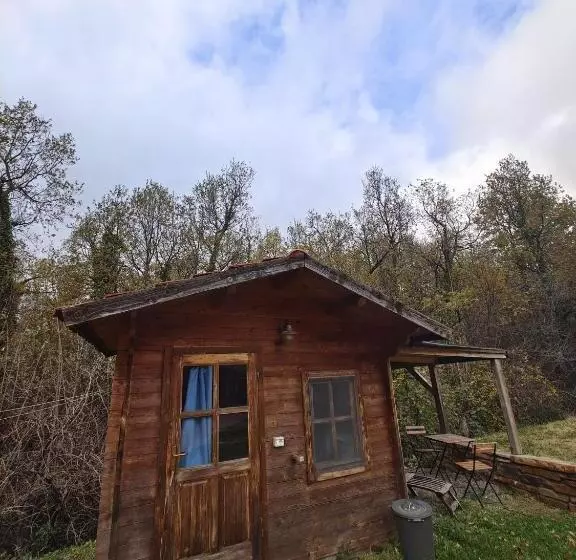 ホテル Agriturismo Fattoria Ca Di Sole