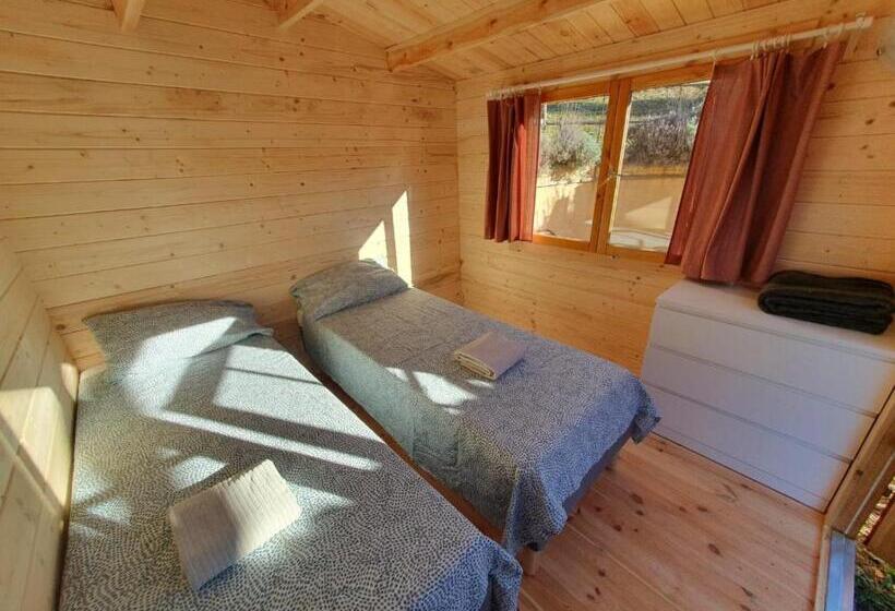 ホテル Agriturismo Fattoria Ca Di Sole